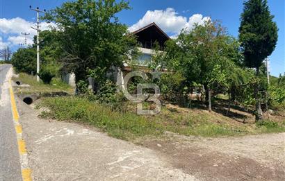 HENDEK'İN GÖZDESİ BAYRAKTEPE YOLUNDA 1803M2 ARSA VE MÜSTAKİL EV