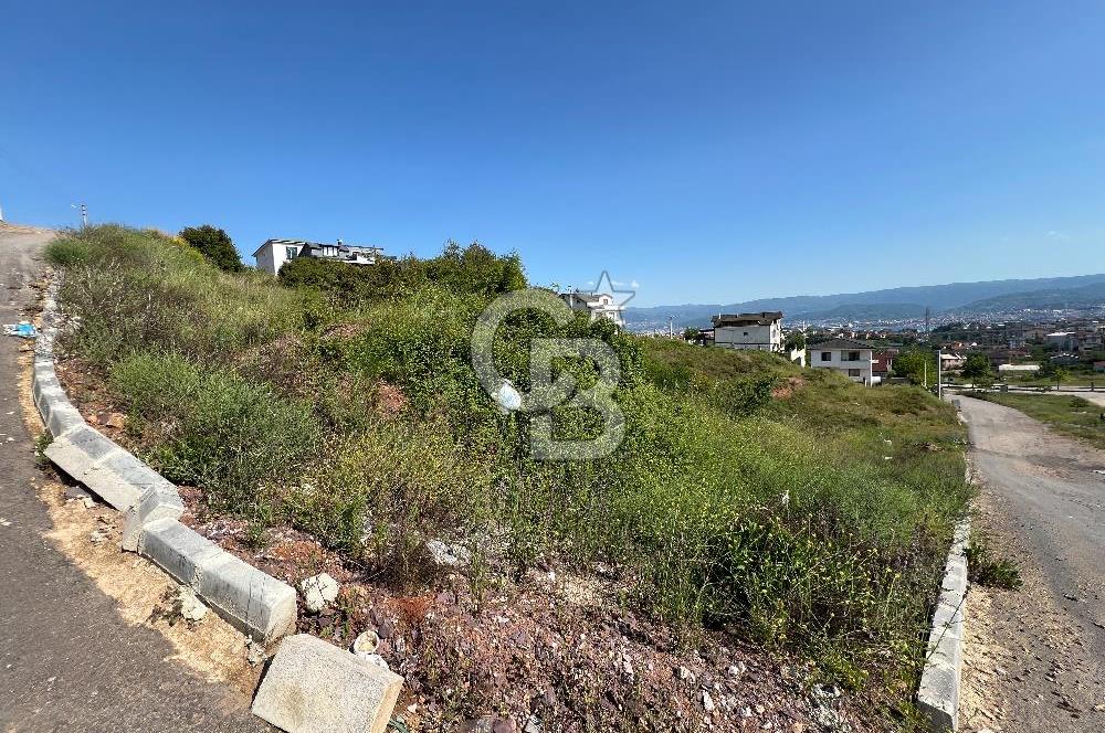 DERİNCE FATİH SULTAN'DA VİLLA İMARLI 477 M² SATILIK ARSA