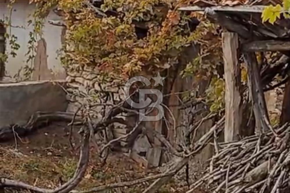 CB AKIN'DAN - BURDUR MERKEZ YAYLABELİ KÖYÜ'NDE FIRSATT