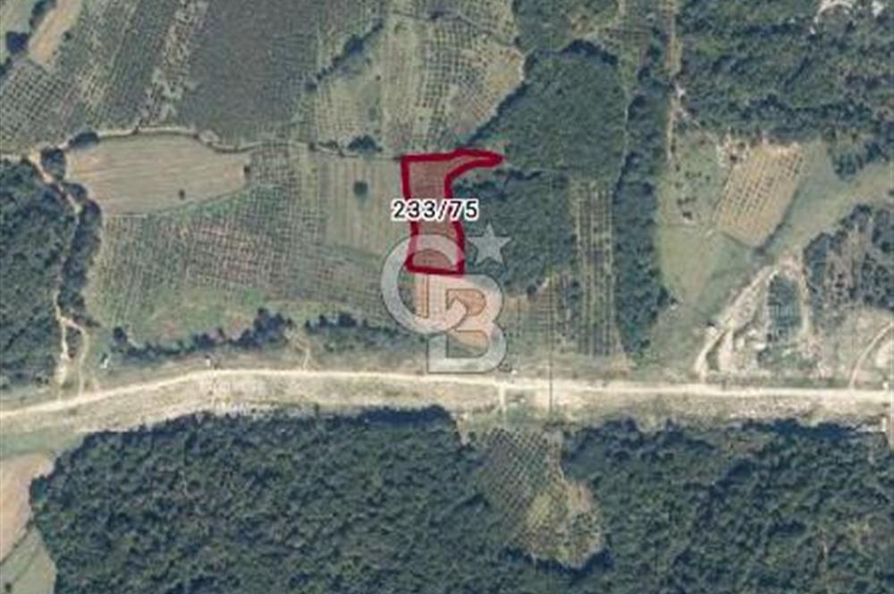 Kandıra Çalköy de 3.506m2 yollu tarla gelişmiş Turizm bölgesi