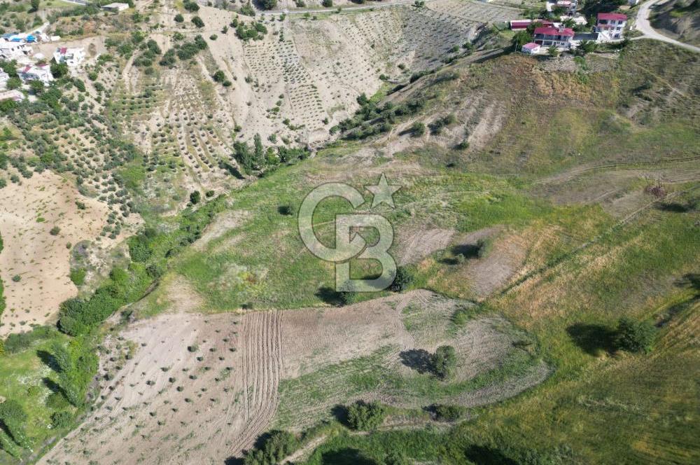 CB'DEN KÜRTÜL MH.DE ANA YOLA YAKIN MANZARALI SATILIK TARLA