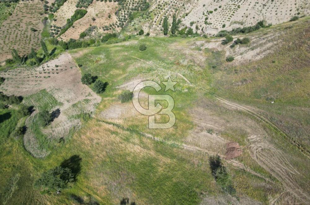 CB'DEN KÜRTÜL MH.DE ANA YOLA YAKIN MANZARALI SATILIK TARLA