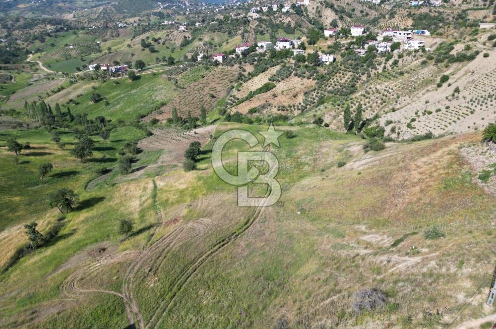 CB'DEN KÜRTÜL MH.DE ANA YOLA YAKIN MANZARALI SATILIK TARLA
