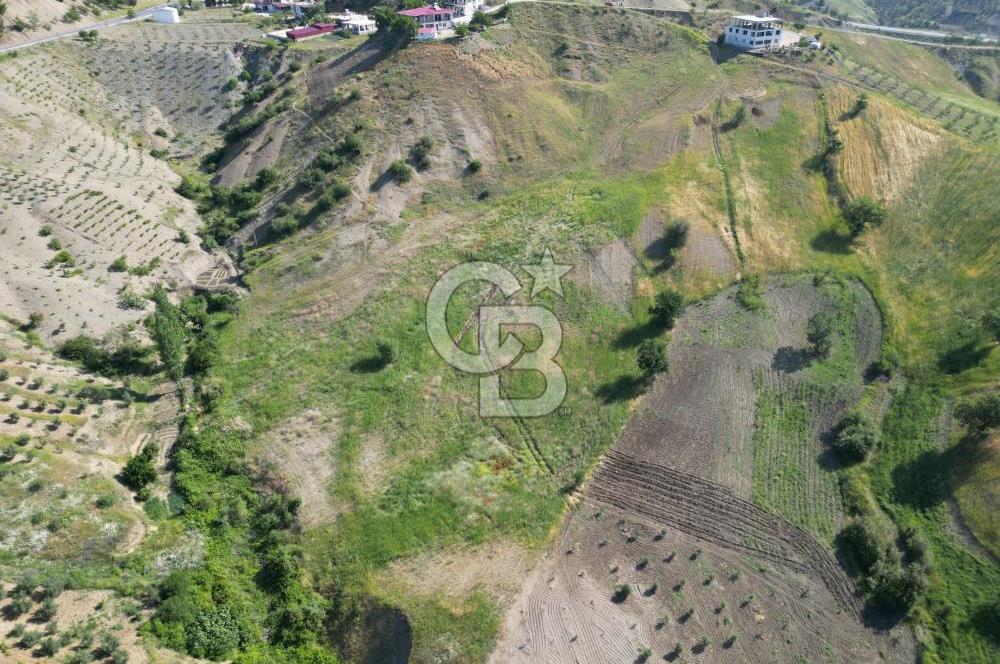 CB'DEN KÜRTÜL MH.DE ANA YOLA YAKIN MANZARALI SATILIK TARLA