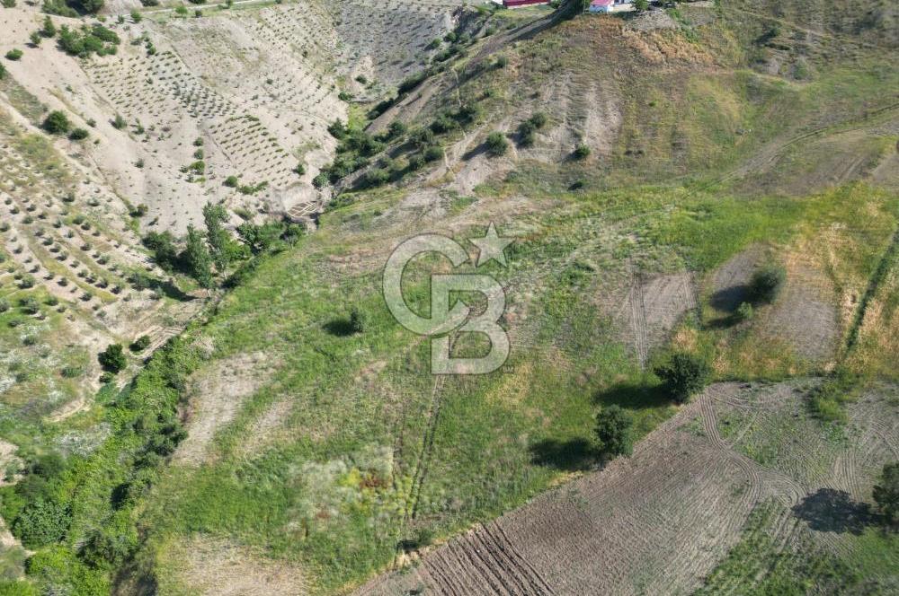 CB'DEN KÜRTÜL MH.DE ANA YOLA YAKIN MANZARALI SATILIK TARLA