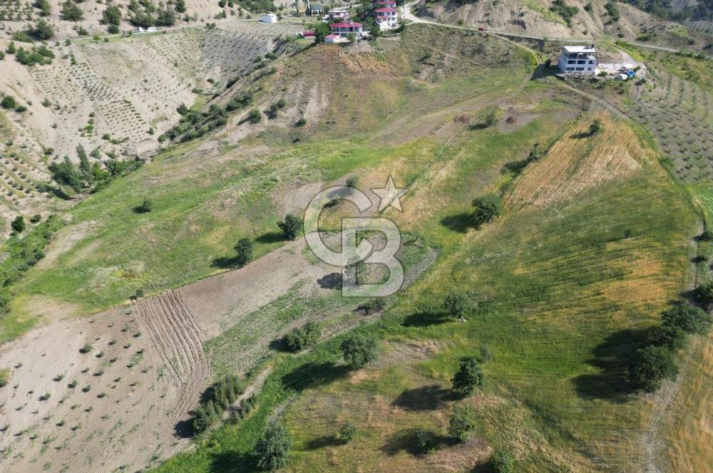 CB'DEN KÜRTÜL MH.DE ANA YOLA YAKIN MANZARALI SATILIK TARLA