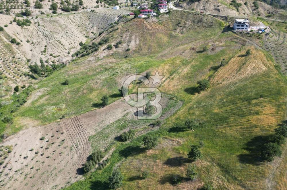 CB'DEN KÜRTÜL MH.DE ANA YOLA YAKIN MANZARALI SATILIK TARLA