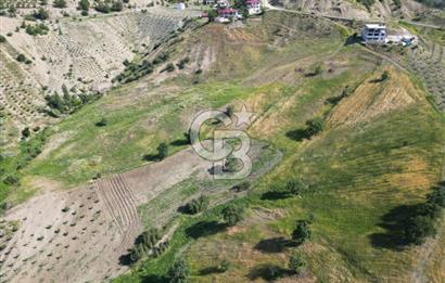 CB'DEN KÜRTÜL MH.DE ANA YOLA YAKIN MANZARALI SATILIK TARLA