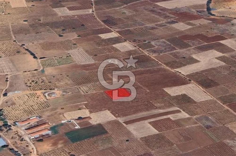 DENİZLİ  ÇAL'DA SATILIK TARIM ARAZİSİ