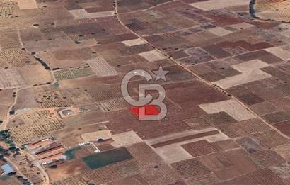 DENİZLİ  ÇAL'DA SATILIK TARIM ARAZİSİ
