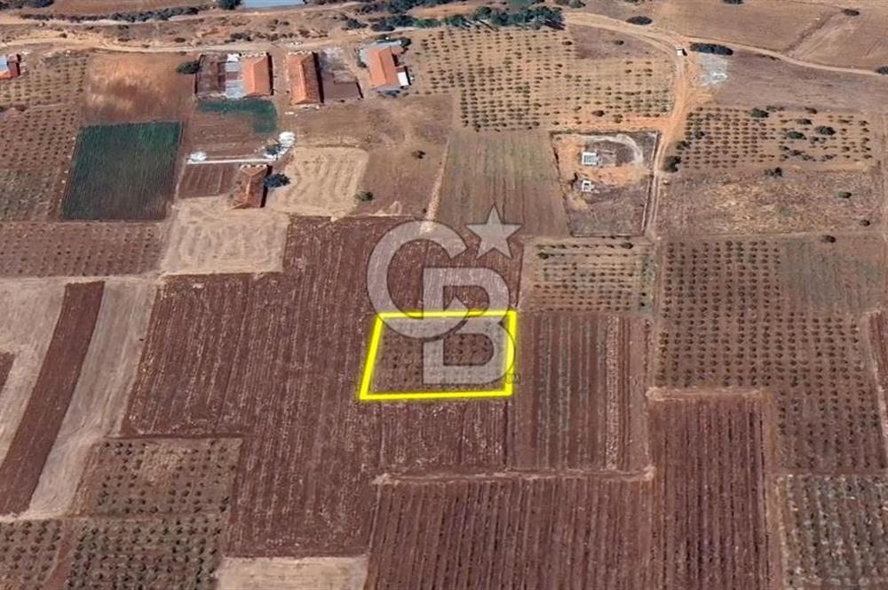 DENİZLİ  ÇAL'DA SATILIK TARIM ARAZİSİ