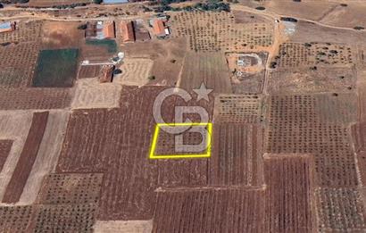 DENİZLİ  ÇAL'DA SATILIK TARIM ARAZİSİ