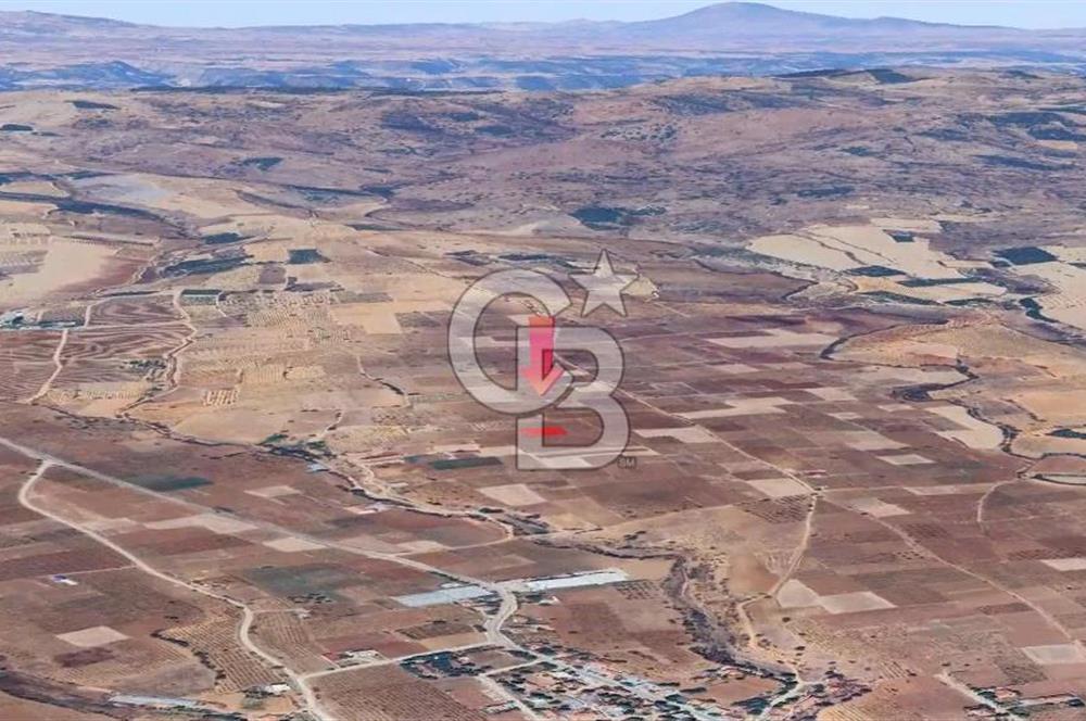 DENİZLİ  ÇAL'DA SATILIK TARIM ARAZİSİ
