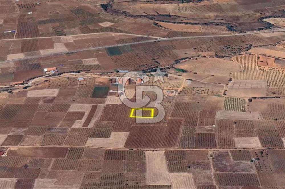 DENİZLİ  ÇAL'DA SATILIK TARIM ARAZİSİ