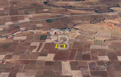 DENİZLİ  ÇAL'DA SATILIK TARIM ARAZİSİ
