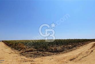 HAVSA HASKÖYDE ÇİFT KADASTRAL YOLA CEPHE MÜSTAKİL 3866 M2 TARLA