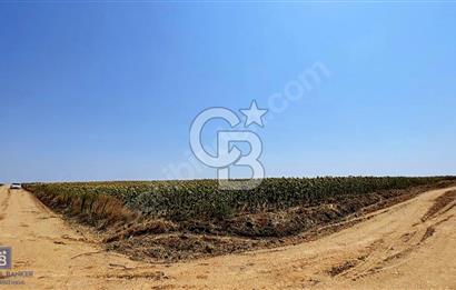 HAVSA HASKÖYDE ÇİFT KADASTRAL YOLA CEPHE MÜSTAKİL 3866 M2 TARLA