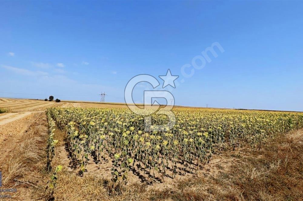 HAVSA HASKÖYDE ÇİFT KADASTRAL YOLA CEPHE MÜSTAKİL 3866 M2 TARLA