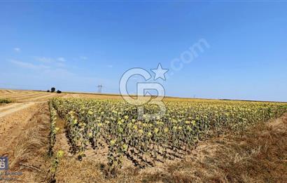 HAVSA HASKÖYDE ÇİFT KADASTRAL YOLA CEPHE MÜSTAKİL 3866 M2 TARLA