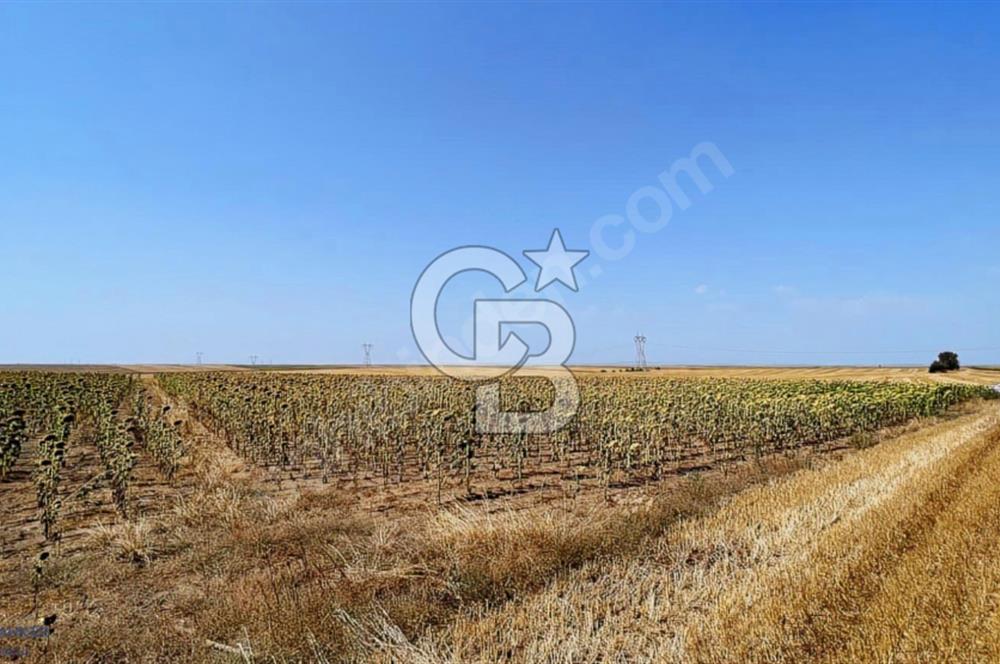HAVSA HASKÖYDE ÇİFT KADASTRAL YOLA CEPHE MÜSTAKİL 3866 M2 TARLA