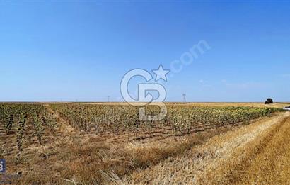 HAVSA HASKÖYDE ÇİFT KADASTRAL YOLA CEPHE MÜSTAKİL 3866 M2 TARLA