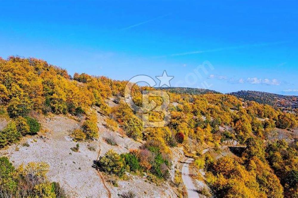 GÖNEN DUMANALAN MAHALLESİ 6980 M2 SATILIK ARAZİ