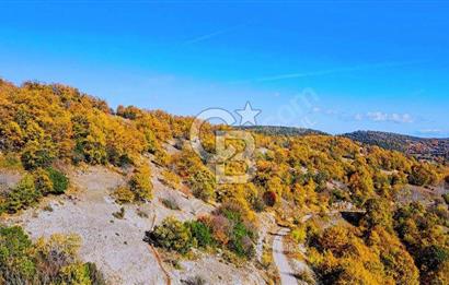 GÖNEN DUMANALAN MAHALLESİ 6980 M2 SATILIK ARAZİ