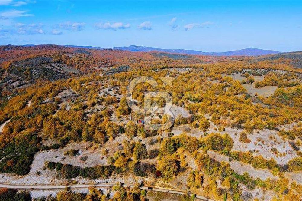 GÖNEN DUMANALAN MAHALLESİ 6980 M2 SATILIK ARAZİ