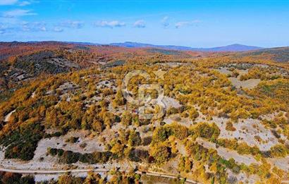 GÖNEN DUMANALAN MAHALLESİ 6980 M2 SATILIK ARAZİ