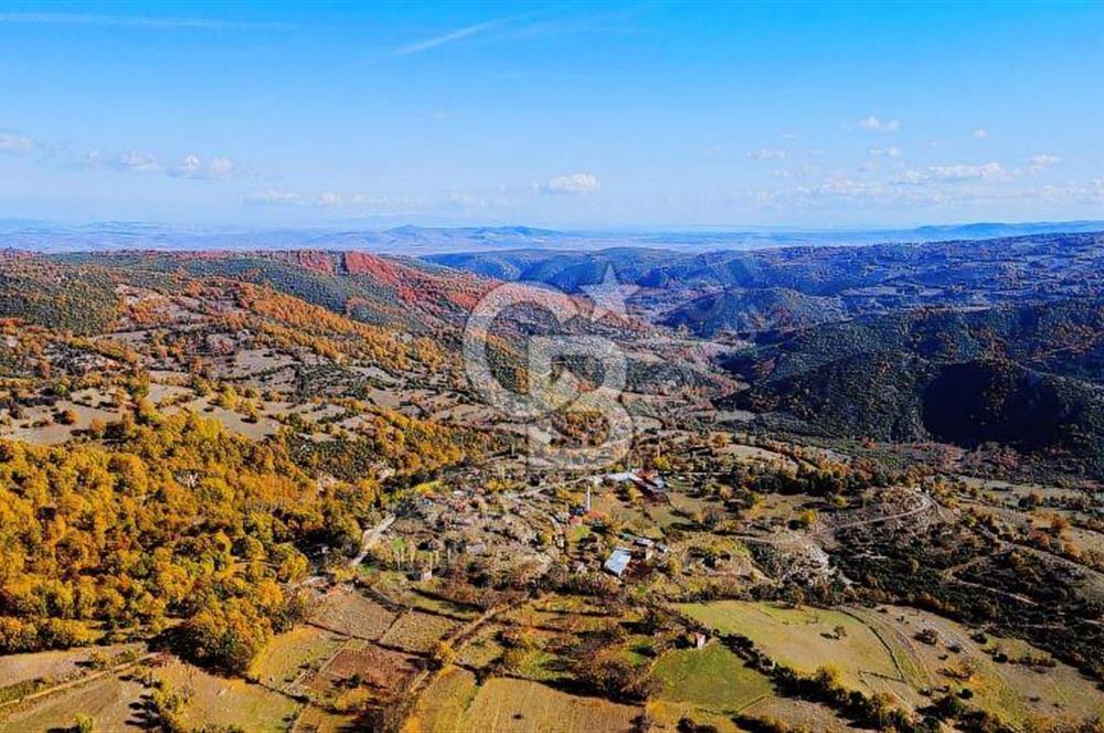 GÖNEN DUMANALAN MAHALLESİ 6980 M2 SATILIK ARAZİ