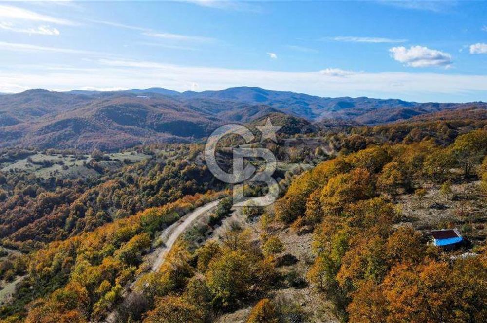 GÖNEN DUMANALAN MAHALLESİ 6980 M2 SATILIK ARAZİ