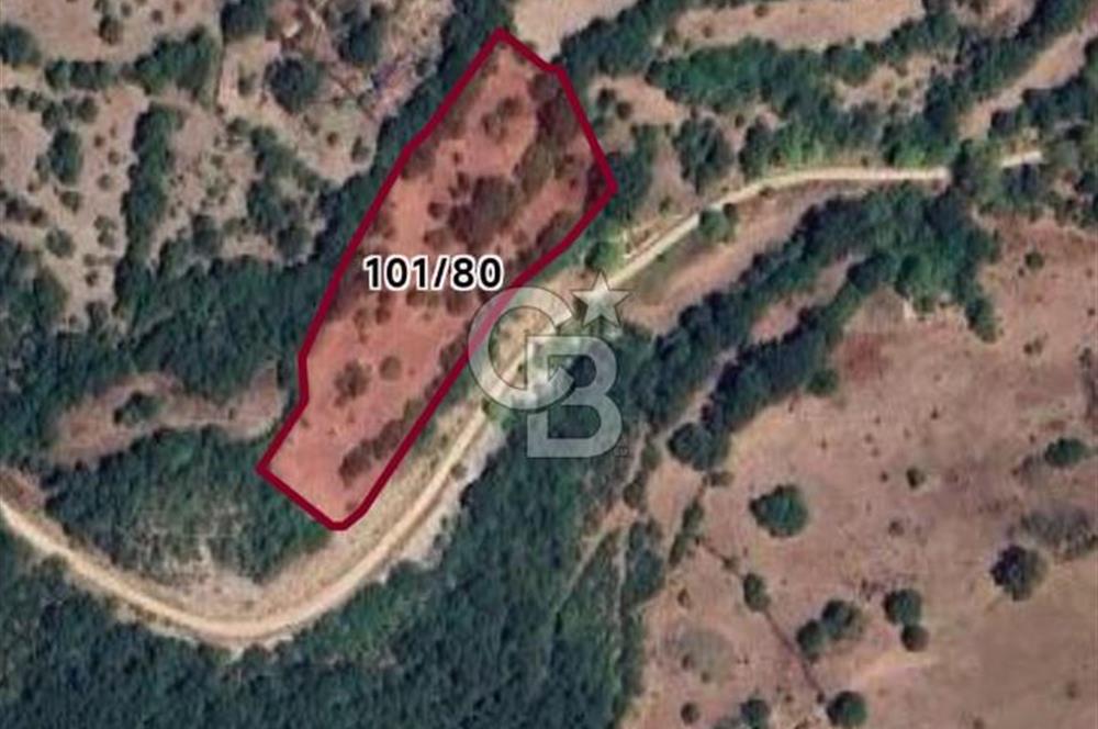 GÖNEN DUMANALAN MAHALLESİ 6980 M2 SATILIK ARAZİ