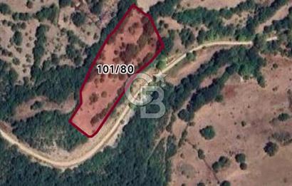 GÖNEN DUMANALAN MAHALLESİ 6980 M2 SATILIK ARAZİ