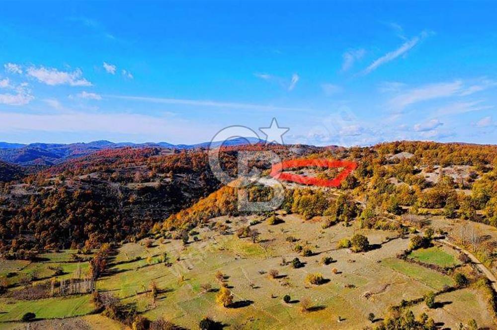 GÖNEN DUMANALAN MAHALLESİ 6980 M2 SATILIK ARAZİ