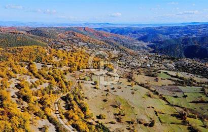 GÖNEN DUMANALAN MAHALLESİ 6980 M2 SATILIK ARAZİ