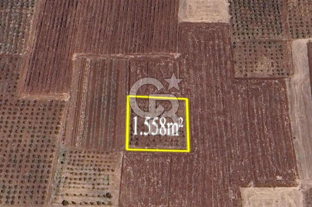 DENİZLİ  ÇAL'DA SATILIK TARIM ARAZİSİ