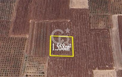 DENİZLİ  ÇAL'DA SATILIK TARIM ARAZİSİ