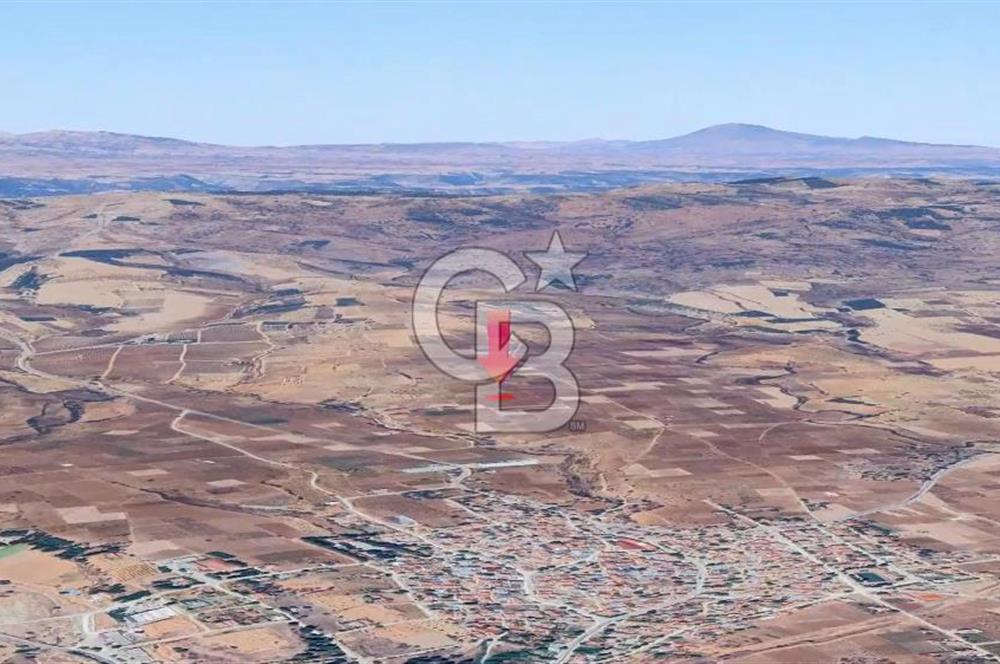 DENİZLİ  ÇAL'DA SATILIK TARIM ARAZİSİ