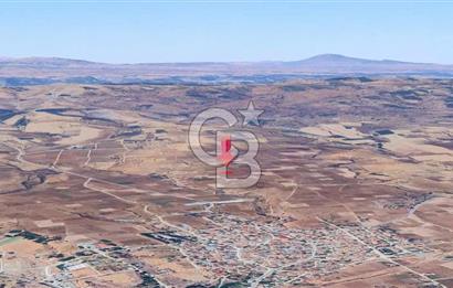 DENİZLİ  ÇAL'DA SATILIK TARIM ARAZİSİ