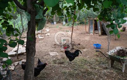 Eski Datça'da Satılık Havuzlu, 2 Müştemilatlı Lüks Villa