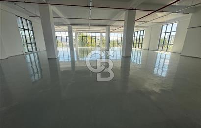 Sancaktepe Merkezde Atatürk Caddesine Cephe Kiralık Plaza Katı