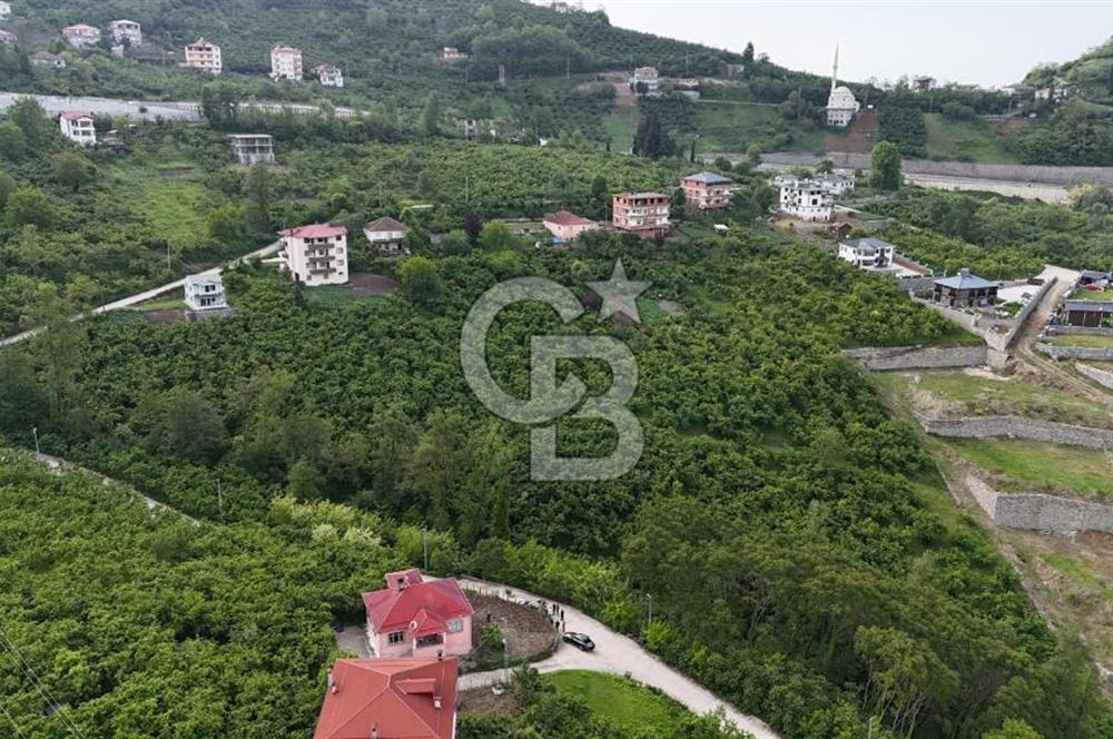TRABZON BENGİSU DA AZ EĞİMLİ 20 METRE YOLA CEPHE SATILIK ARAZİ