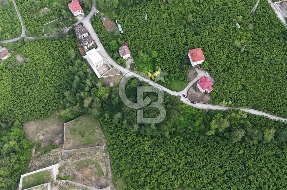 TRABZON BENGİSU DA AZ EĞİMLİ 20 METRE YOLA CEPHE SATILIK ARAZİ