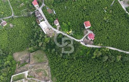 TRABZON BENGİSU DA AZ EĞİMLİ 20 METRE YOLA CEPHE SATILIK ARAZİ