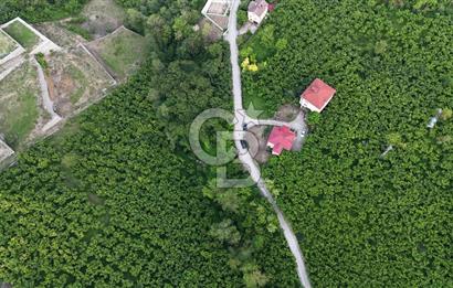 TRABZON BENGİSU DA AZ EĞİMLİ 60 METRE YOLA CEPHE SATILIK ARAZİ