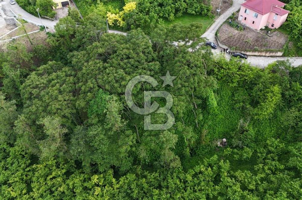 TRABZON BENGİSU DA AZ EĞİMLİ 20 METRE YOLA CEPHE SATILIK ARAZİ