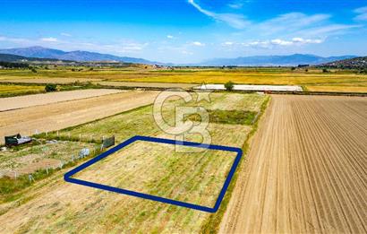 Foça Gerenköy'de Satılık 723 m2 Tarla
