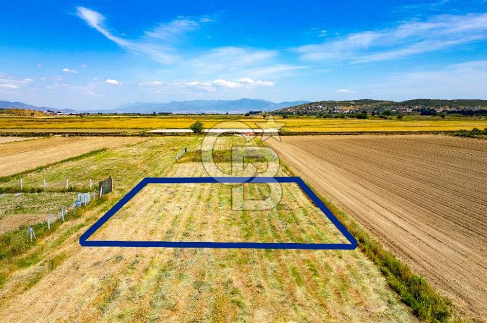 Foça Gerenköy'de Satılık 723 m2 Tarla