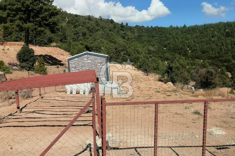 ANTALYA KORKUTELİ'NİN PARLAYAN GÜNEŞİ KEVZER'DE YATIRIMLIK SATILIK TARLA