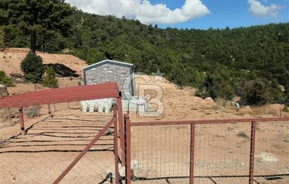 ANTALYA KORKUTELİ'NİN PARLAYAN GÜNEŞİ KEVZER'DE YATIRIMLIK SATILIK TARLA